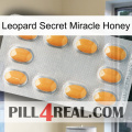 Leopard Secret Miracle Honey cialis3